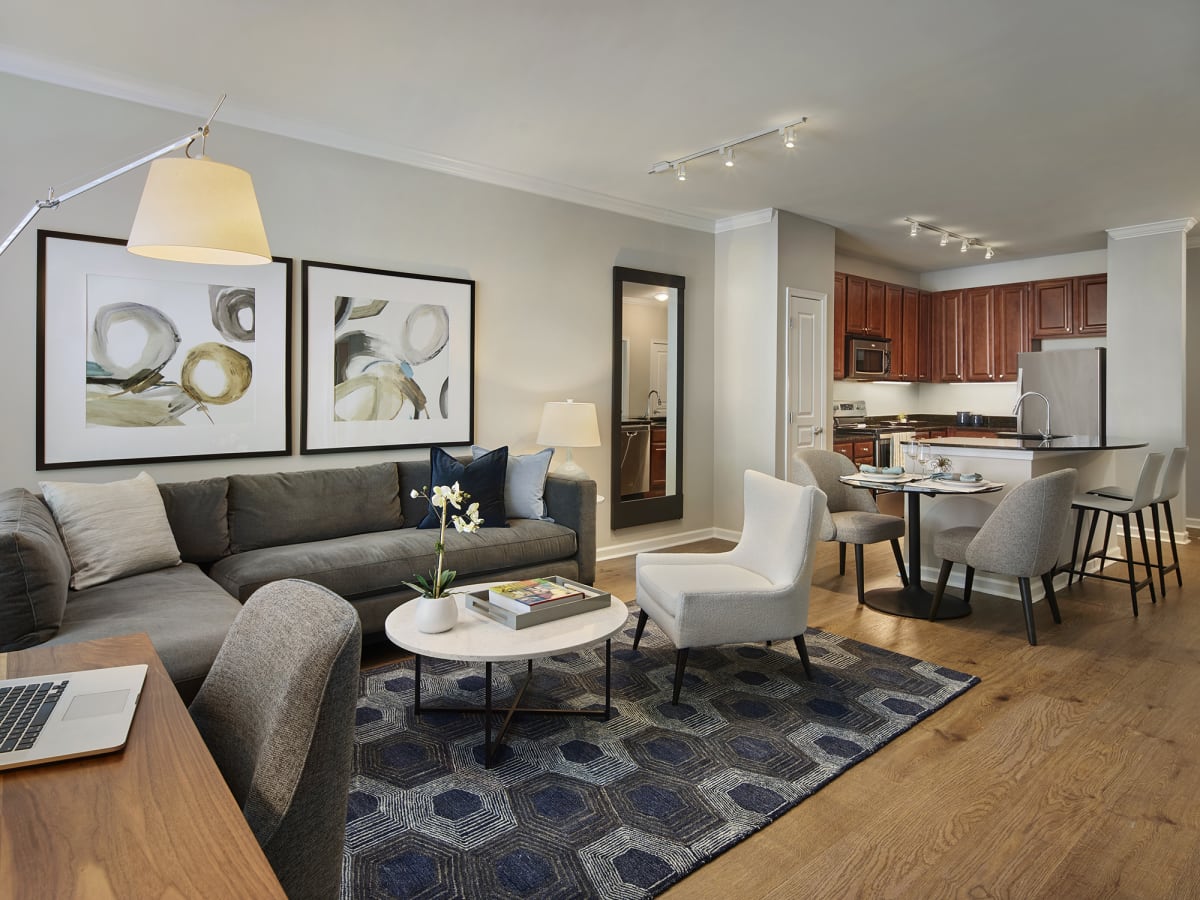 Other Clifton Apartments Living Room