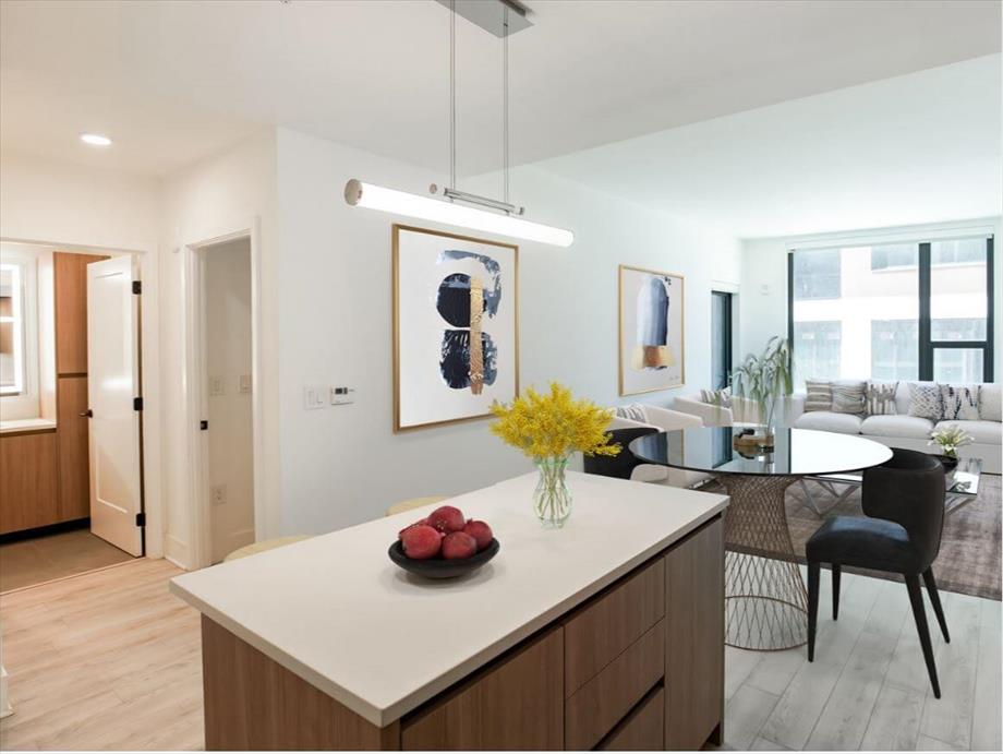 Tysons Apartments Misc.